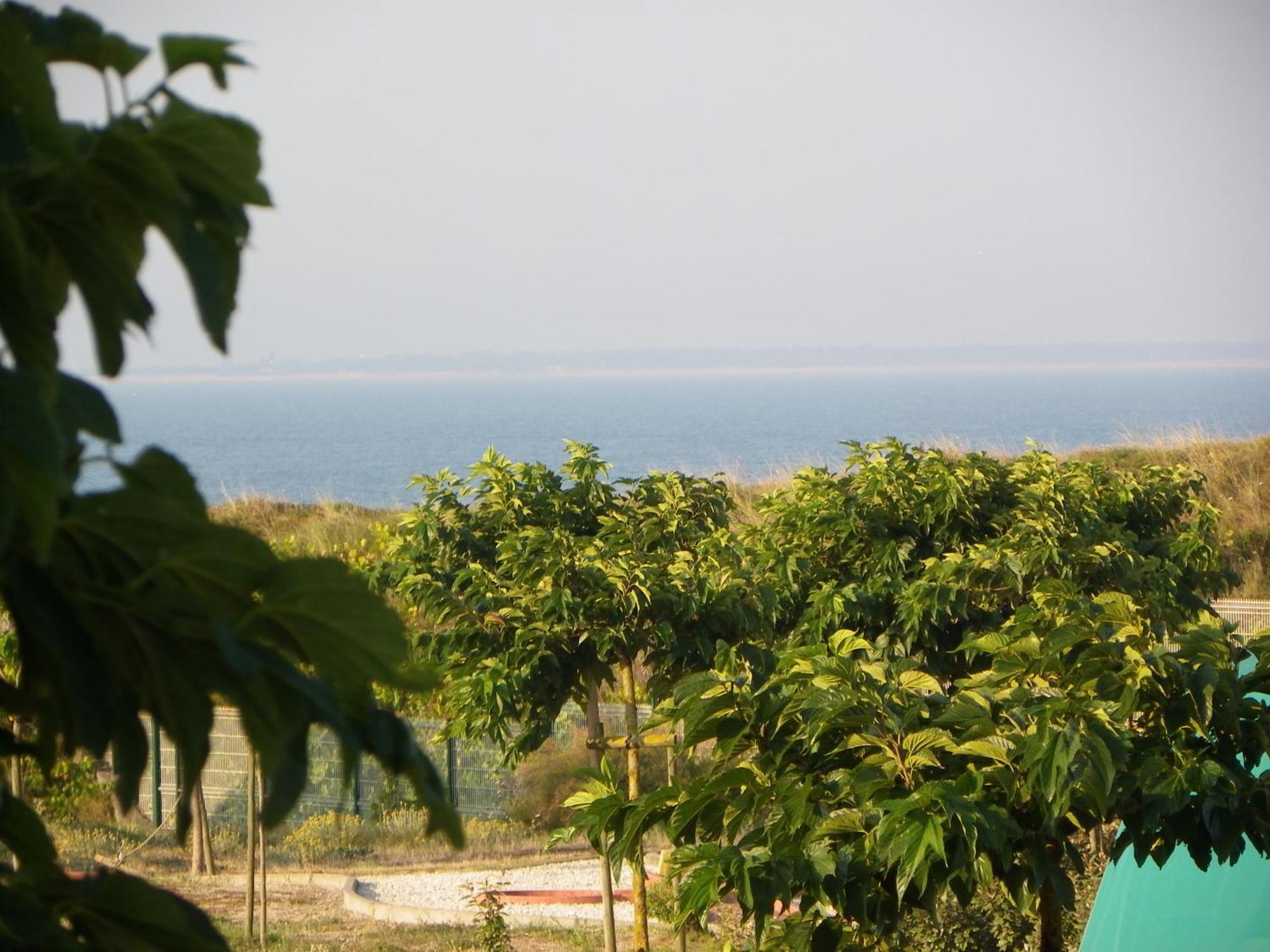 Au Petit Bonheur Hotel La Tranche-sur-Mer Eksteriør billede