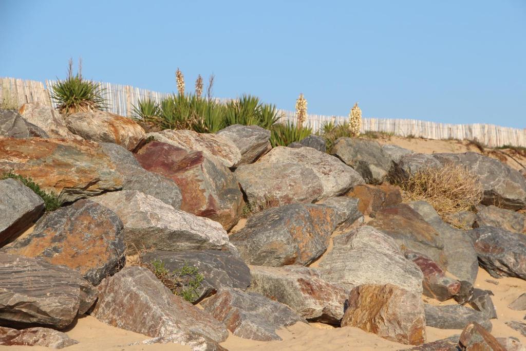 Au Petit Bonheur Hotel La Tranche-sur-Mer Eksteriør billede
